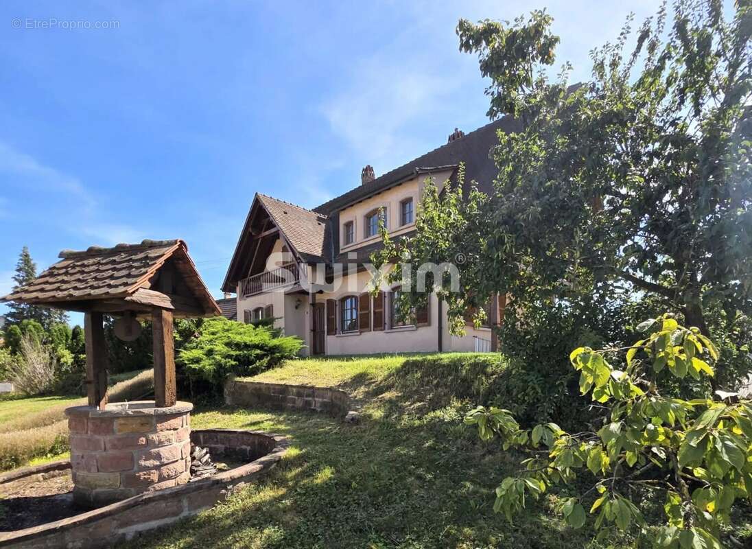 Maison à RIBEAUVILLE