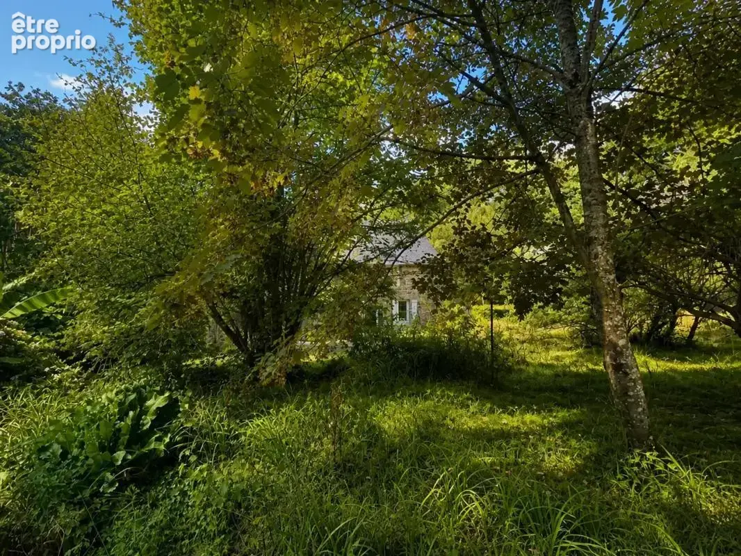 Maison de 6 pièces de 353 m² à Pleudihen-sur-Rance - photo 27