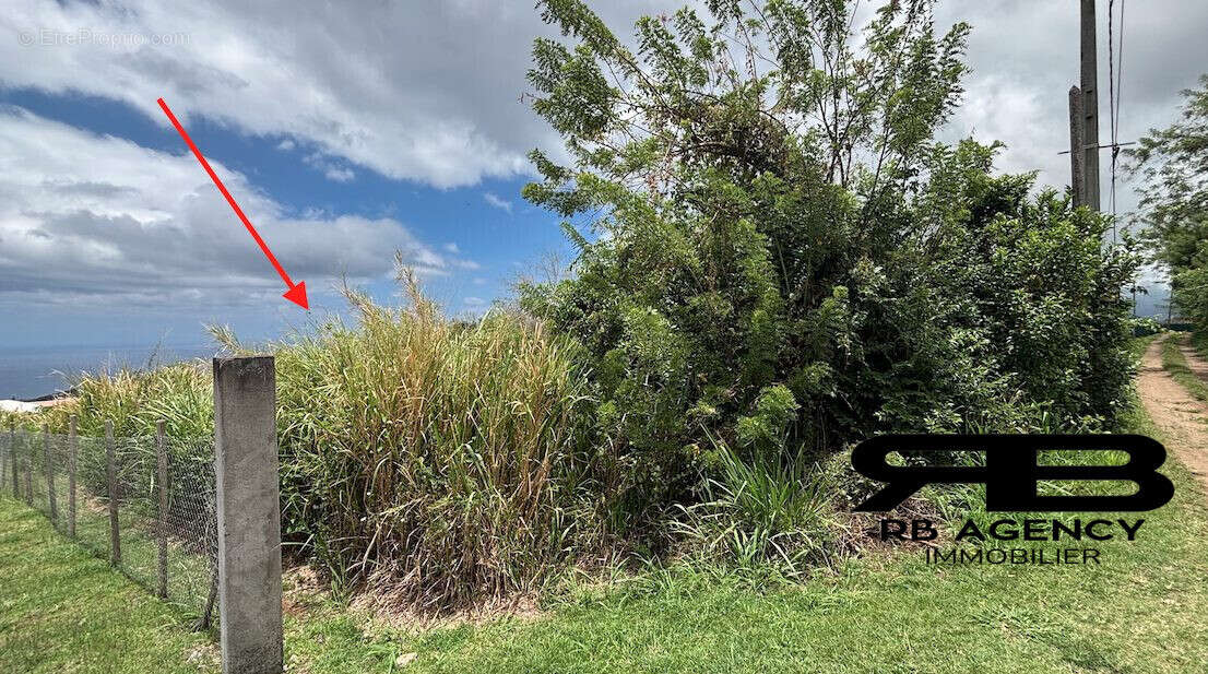 Terrain à LE CARBET