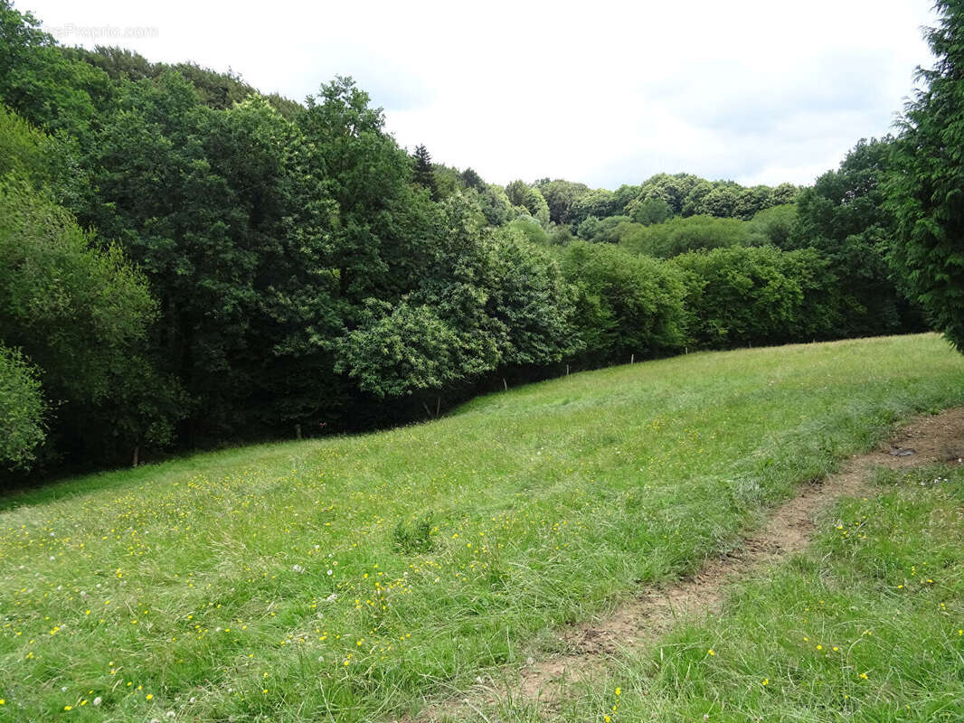 Maison à REFFUVEILLE