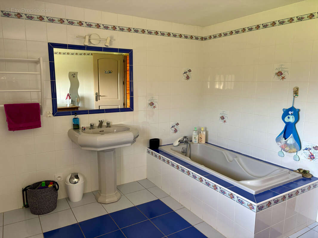 Maison à SAINT-CLEMENT-SUR-VALSONNE