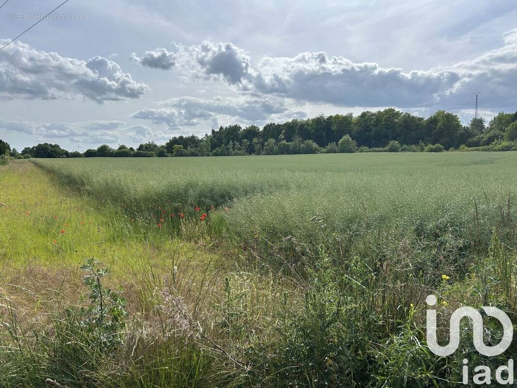 Photo 1 - Terrain à SAINT-HILAIRE-AU-TEMPLE
