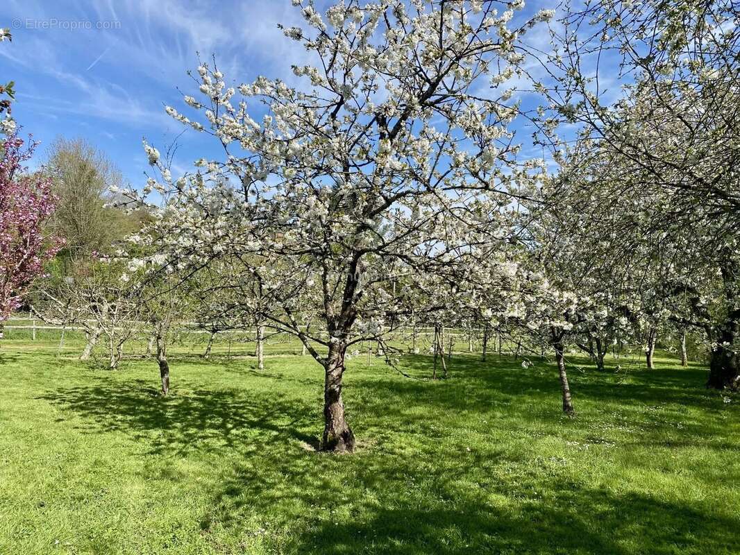 Maison à LA CHARTRE-SUR-LE-LOIR