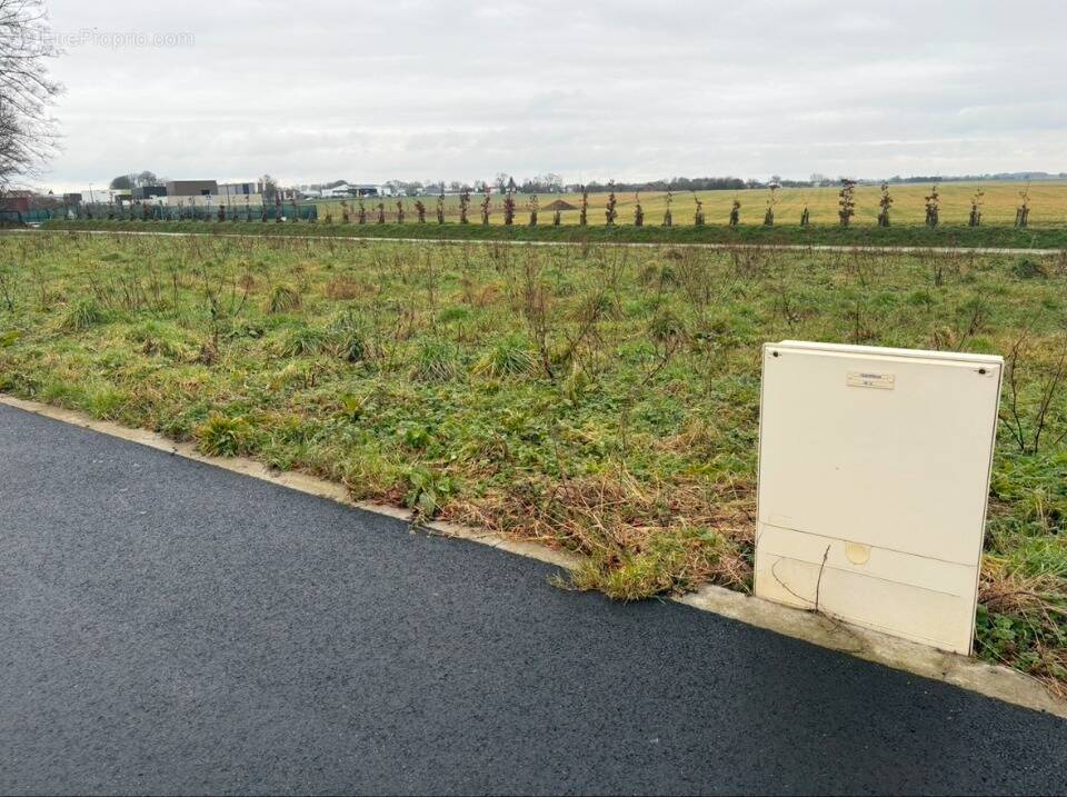 Terrain à FAUVILLE-EN-CAUX