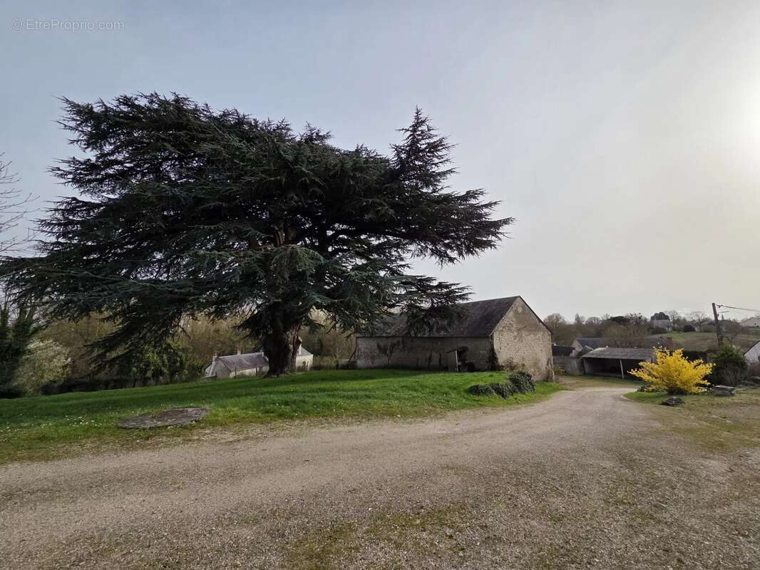 Maison à TAVERS