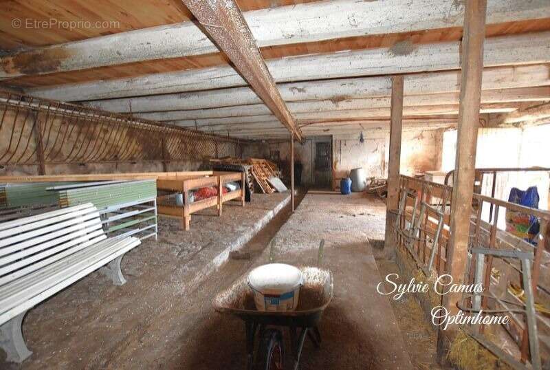 Authentique corps de ferme à vendre 7 pièces SAUVESSANGES (63) de belle surface - photo 9