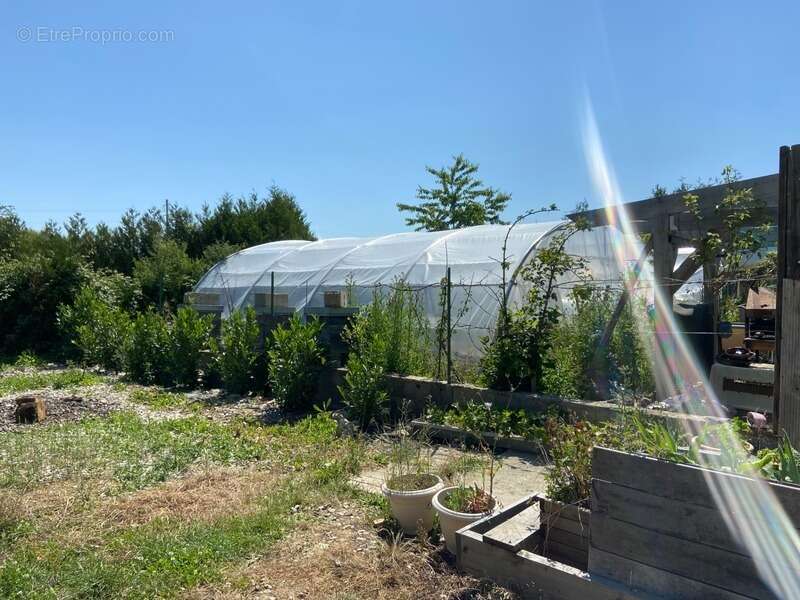 Maison à SAINTE-SCOLASSE-SUR-SARTHE