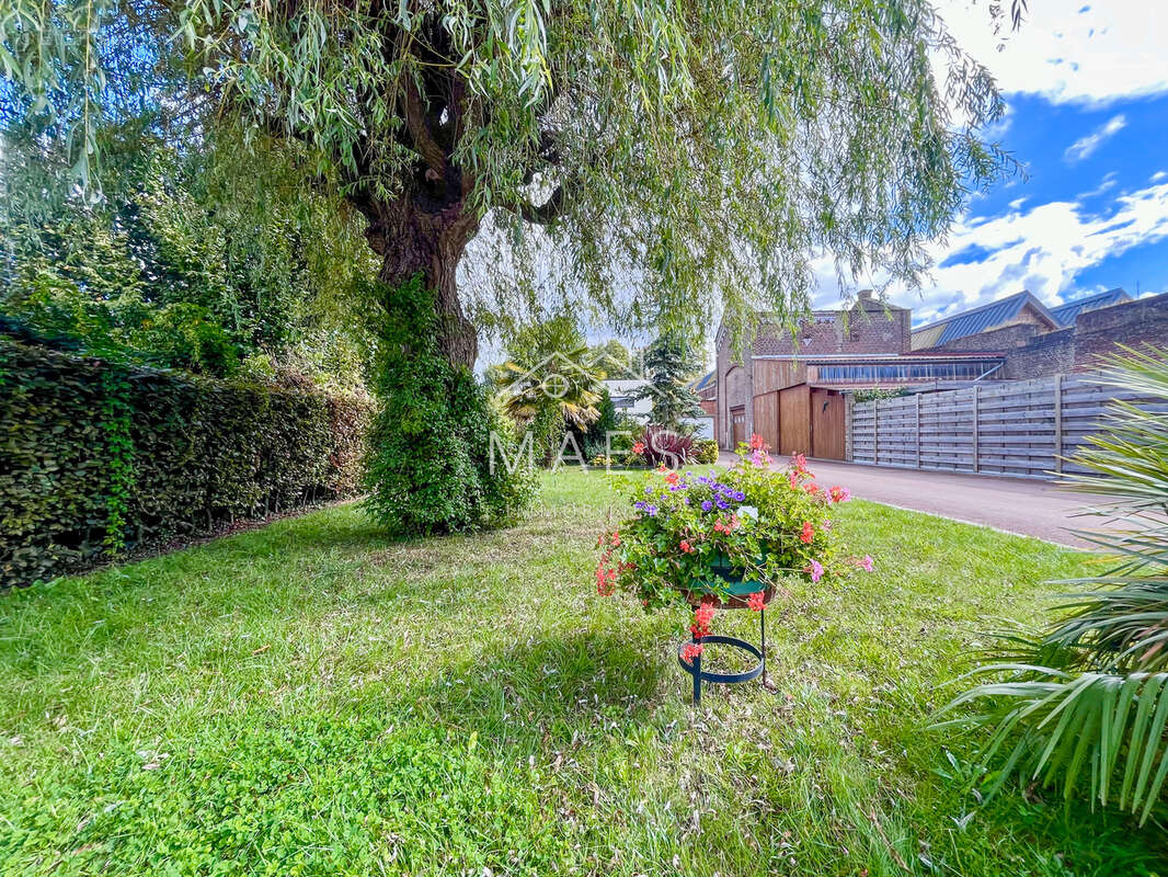 Maison à WAMBRECHIES