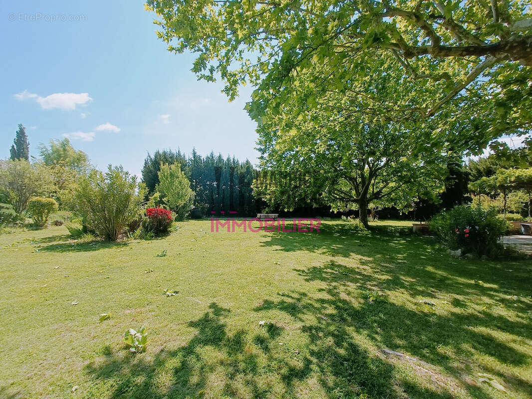 Maison à ALTHEN-DES-PALUDS