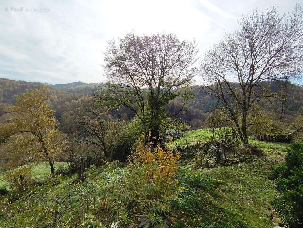 Photo 3 - Maison à FLAGNAC