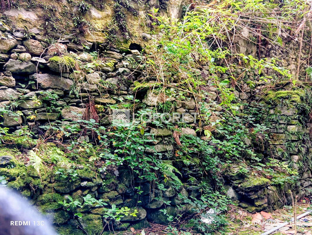 Terrain à PRATS-DE-MOLLO-LA-PRESTE