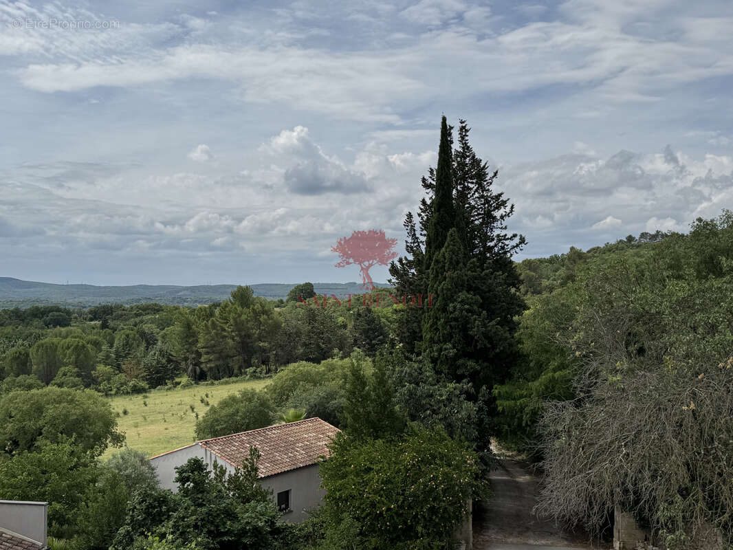 La boissiere vente maison vigneronne avec jardin - photo 25