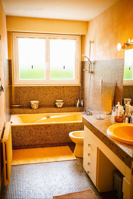 Maison à LA ROCHE-BLANCHE