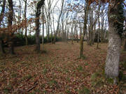 Terrain à SAINT-MARTIAL-D&#039;ARTENSET