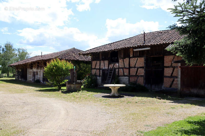 Maison à SAINT-TRIVIER-DE-COURTES