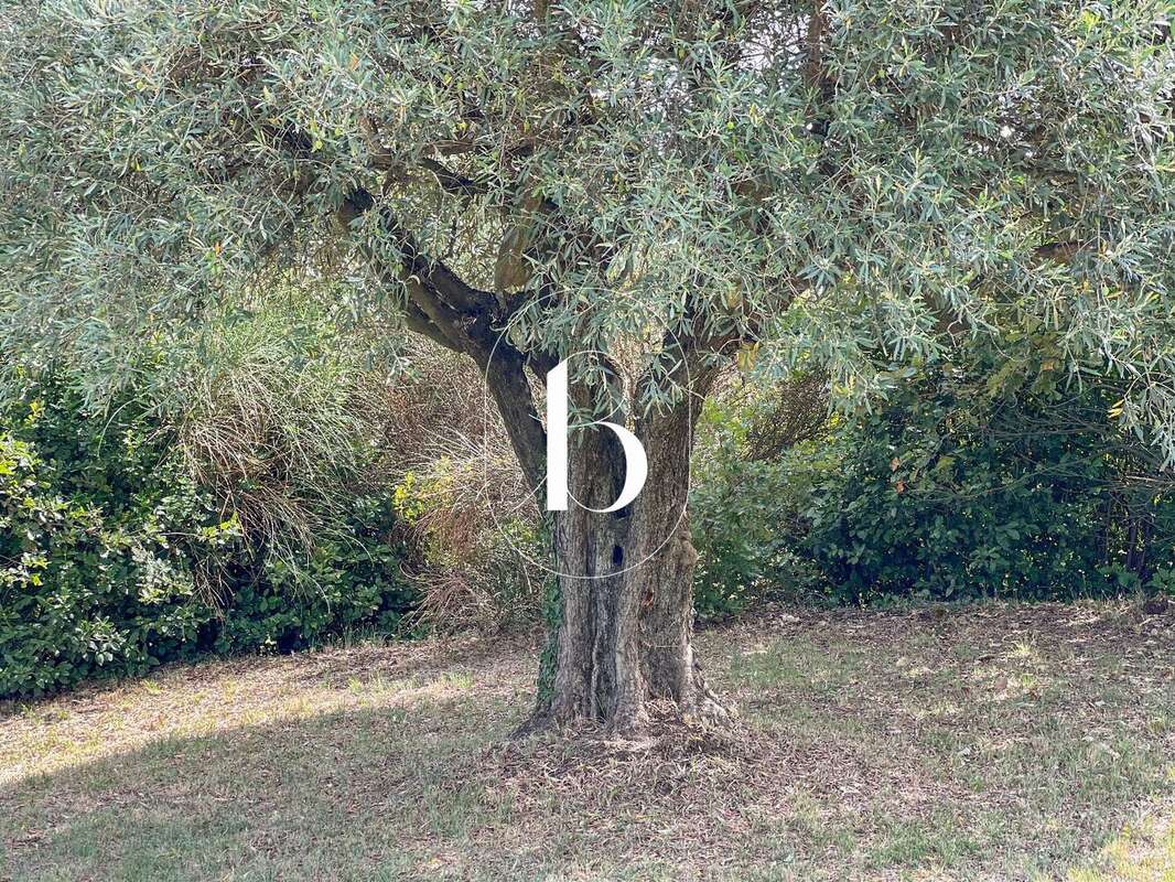 Maison à SAINT-PAULET-DE-CAISSON