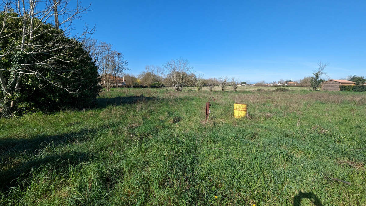 Terrain à COULON