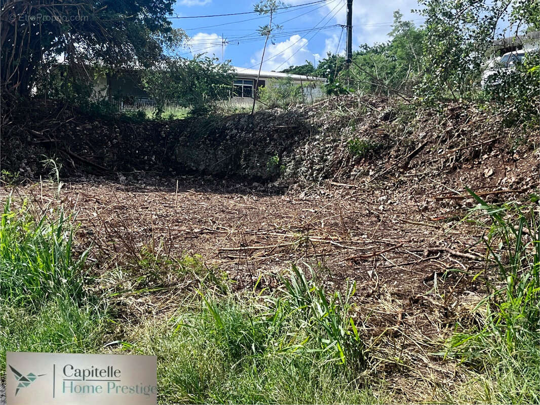 Terrain à SAINTE-ANNE
