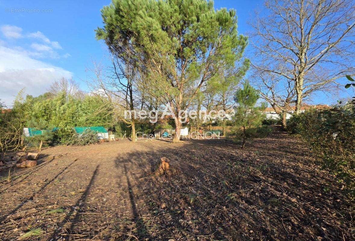 Terrain à bâtir 750m2 - photo 4