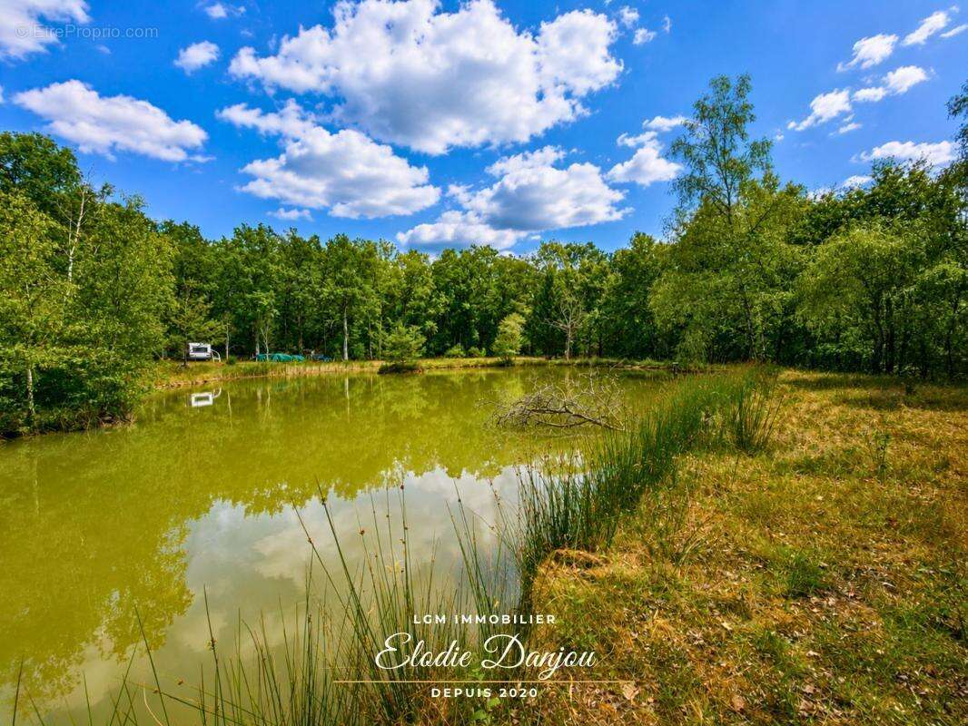 Terrain de loisirs avec étang sur près de 2 hectares - Mur-de-Sologne - photo 8
