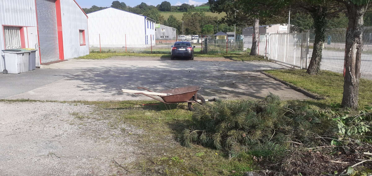 Commerce à SAINT-MARTIN-DE-LA-LIEUE