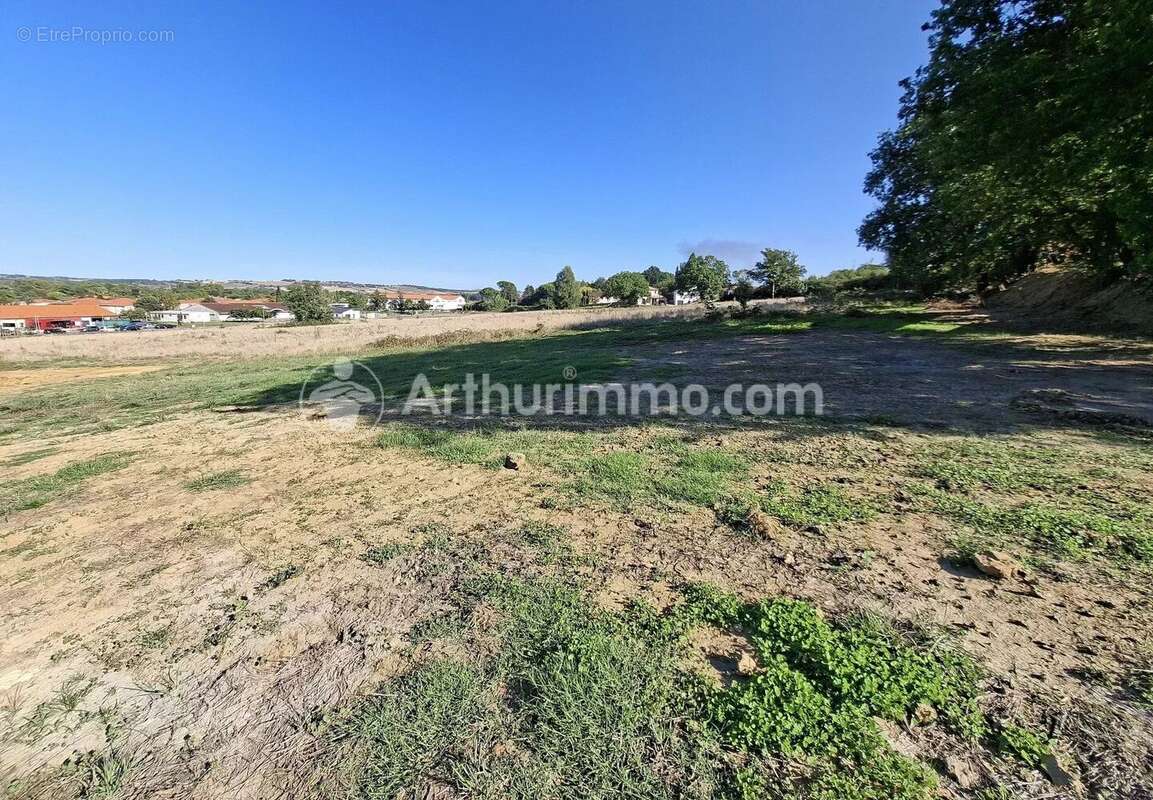 Terrain à GRAGNAGUE