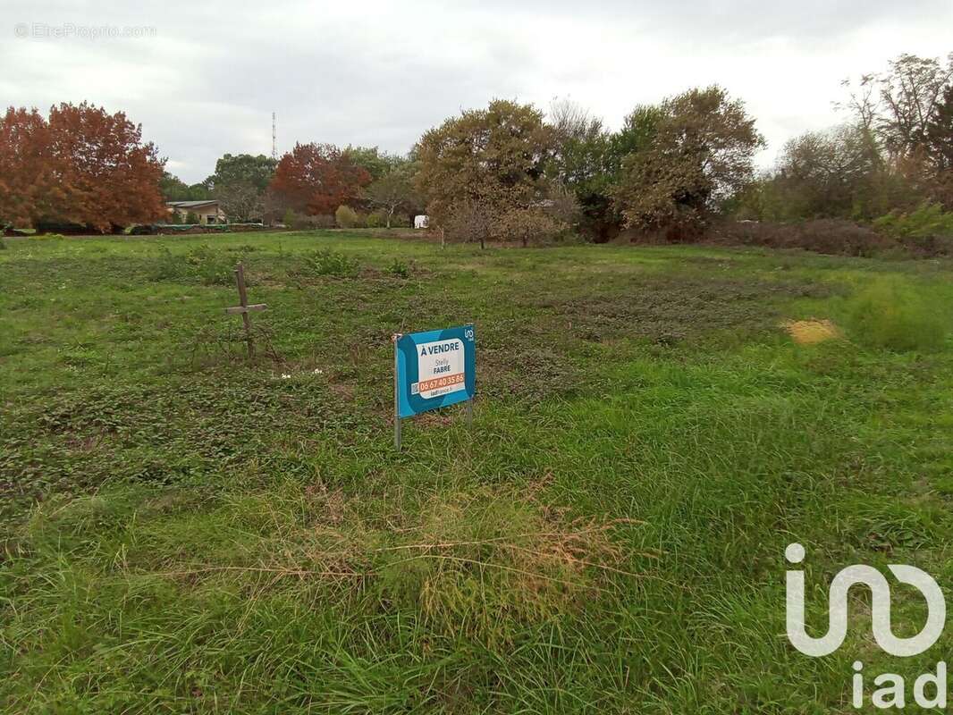 Photo 3 - Terrain à SAINT-REMY