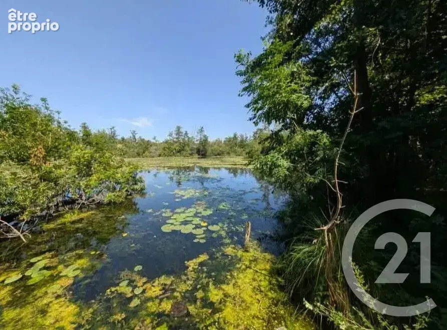 Terrain 6 831 m² à vendre à Peronne (80200) - photo 6