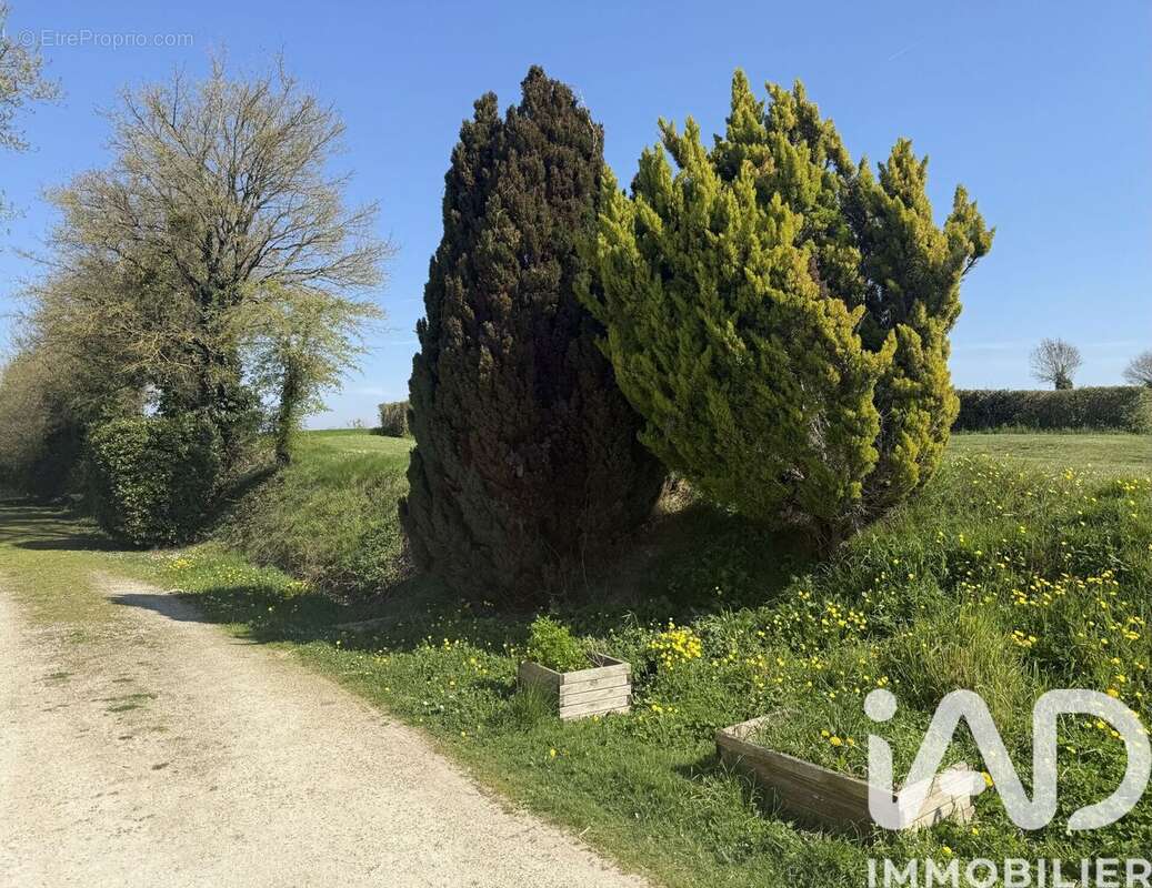 Photo 3 - Maison à MELLE