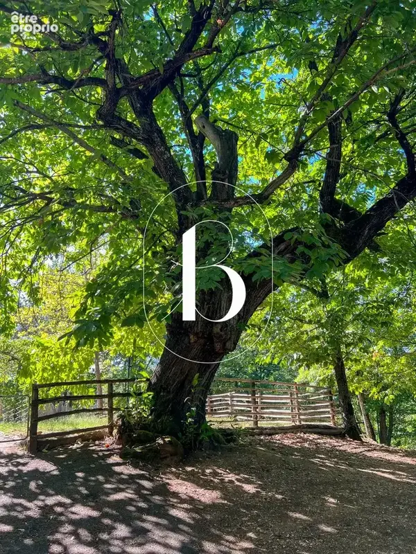 Un mas au cur de 5 hectares, entre histoire et nature en basse Cévennes - photo 8
