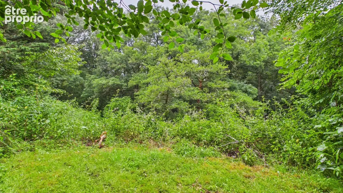 Terrain constructible de 2 244 m² avec forêt de 2 hectares - photo 11