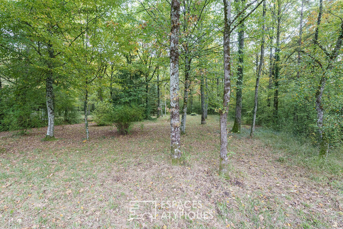 Maison à FRANCHEVILLE