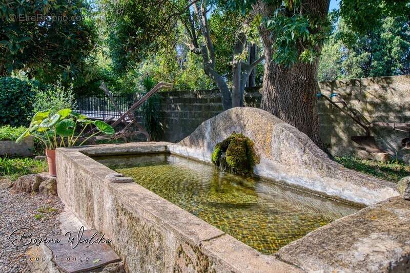 Bastide Ancien Moulin à SALON DE PROVENCE (13) 400 m² et plus de 4000m² de terrain - photo 6