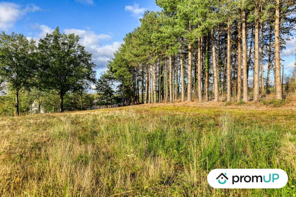 Terrain à SAINT-VICTOR