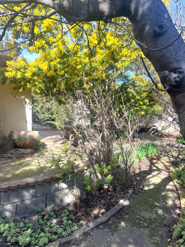 Istre maison t4 sur  784 m² de terrain - photo 3