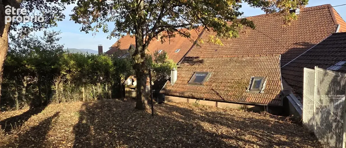 Saales, ancienne maison à rénover, avec dépendance et terrain à l'arrière, beaux espaces. - photo 5