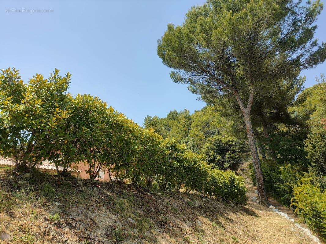 Terrain constructible - photo 4