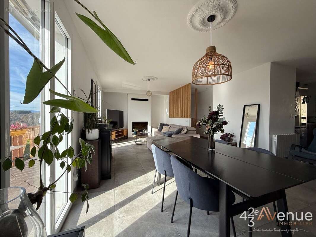 Maison à ROCHE-LA-MOLIERE