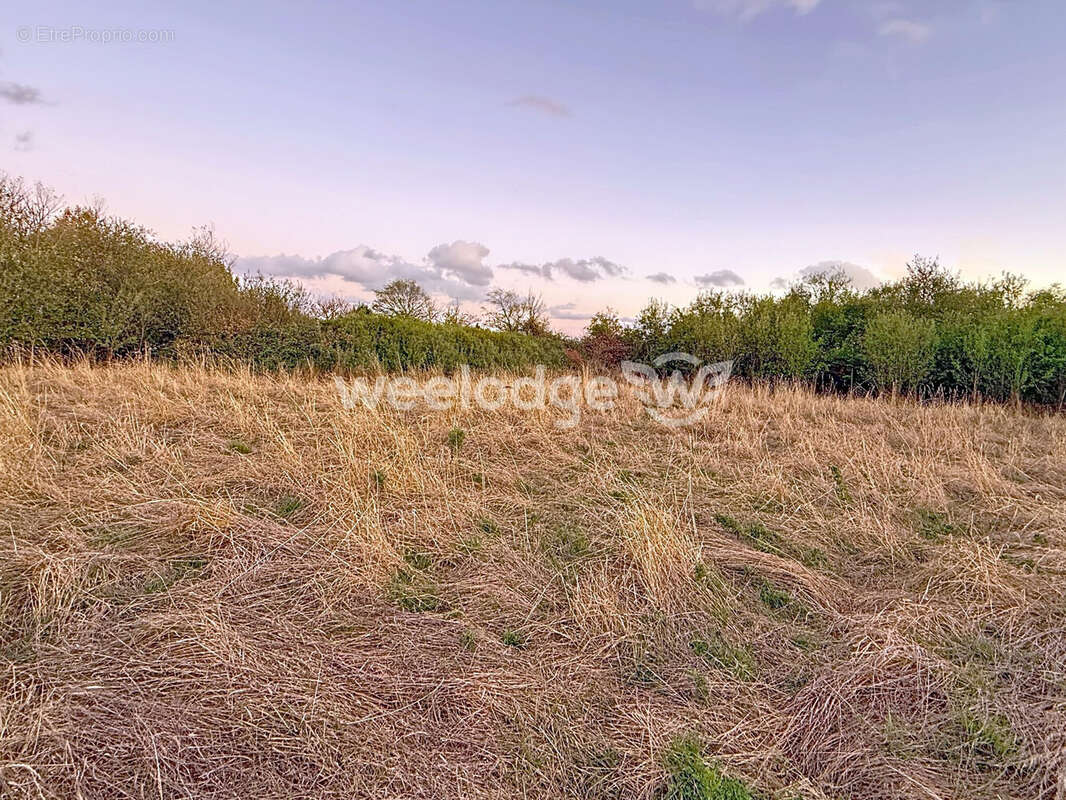 Maison à MAISONNEUVE