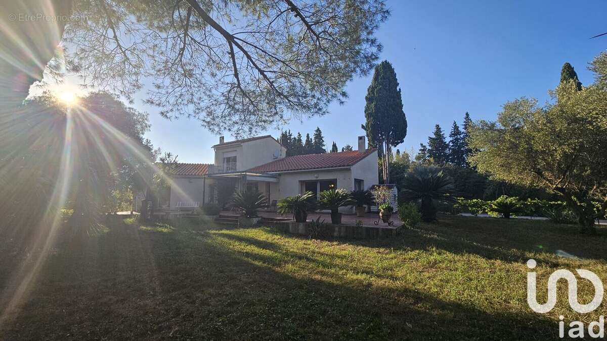 Photo 4 - Maison à MILLAS