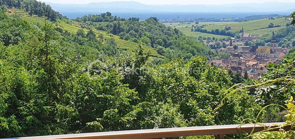 Belle propriété à vendre sur la commune d'Andlau - photo 7
