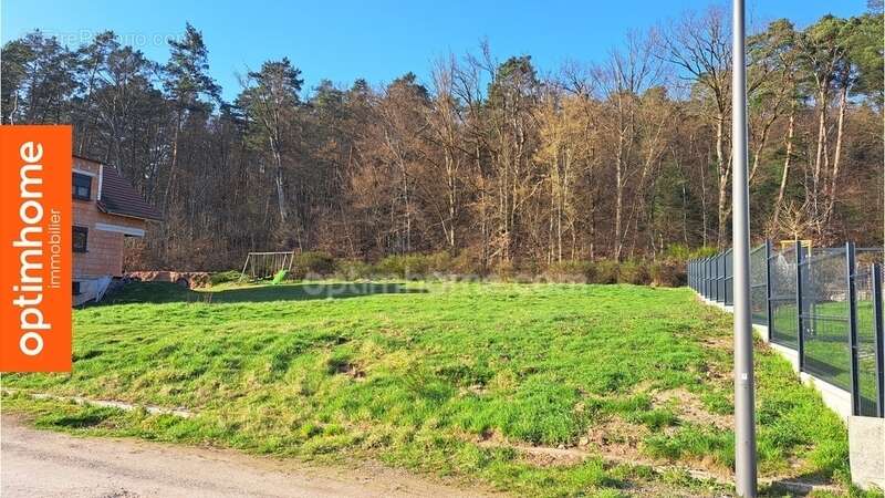 Terrain viabilisé 945 m² WIMMENAU (67) - photo 2