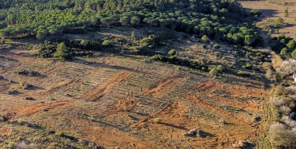 Terrain à NARBONNE