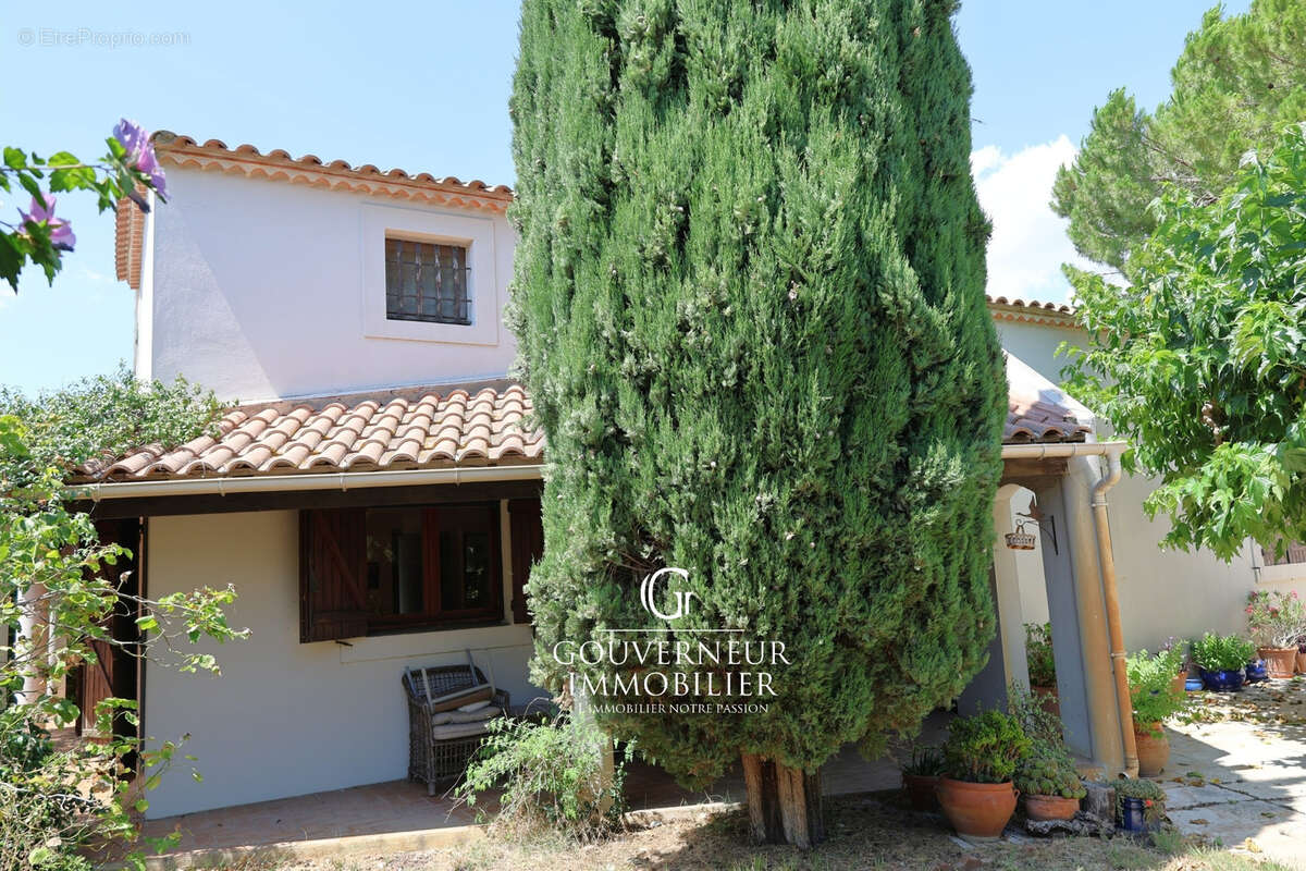 Villa traditionnelle 4 chambres à Saint-Laurent-d’Aigouze - photo 2