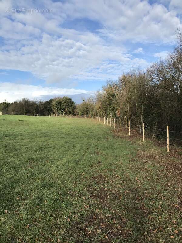 Maison à CHATEAUNEUF-SUR-CHARENTE