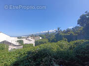 Terrain à LE TAMPON