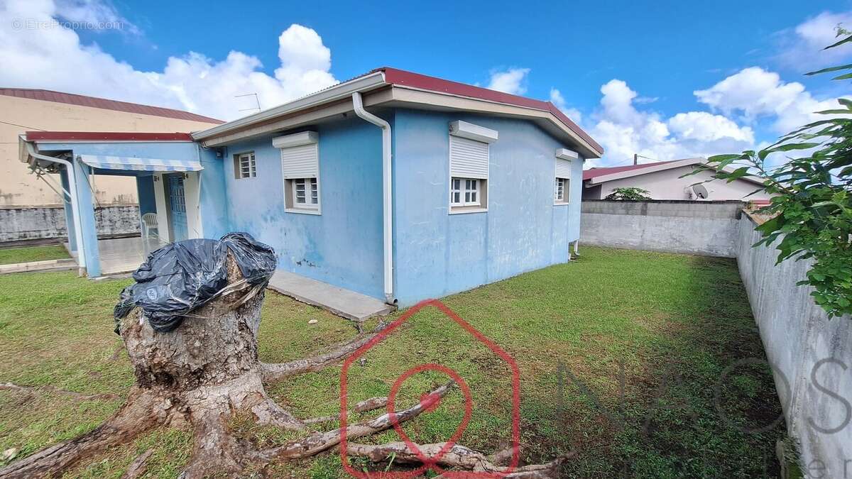 Maison à BASSE-POINTE