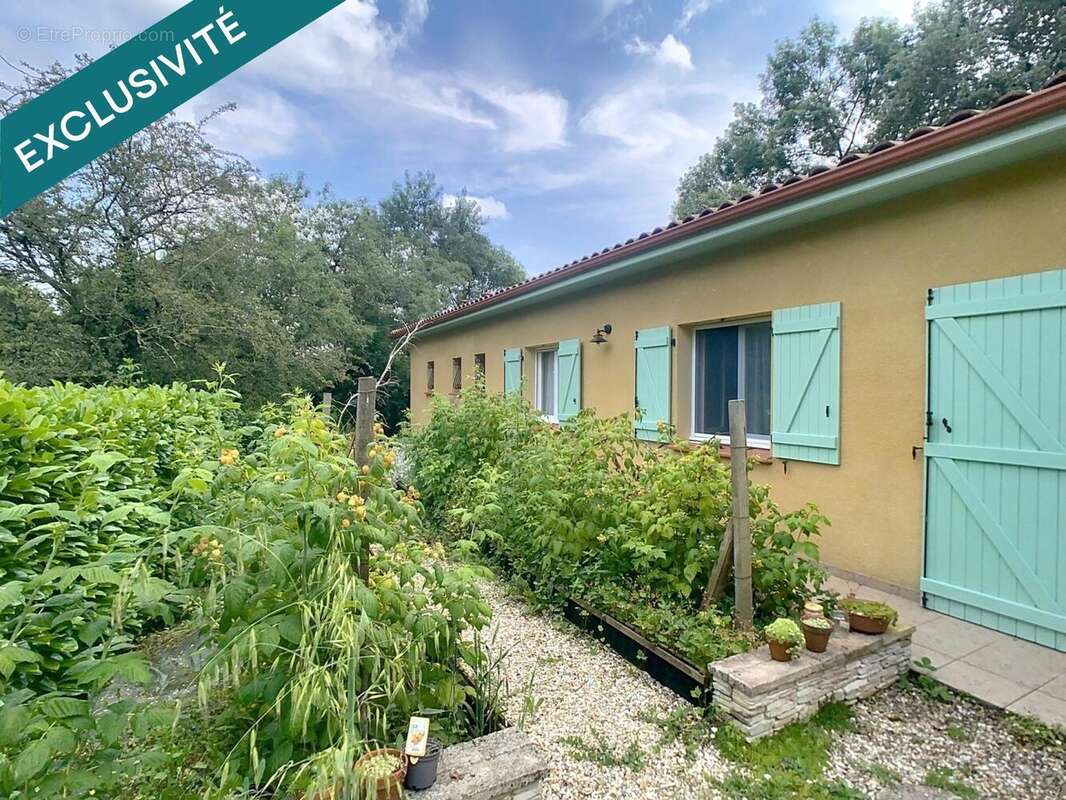 Photo 6 - Maison à AUCH