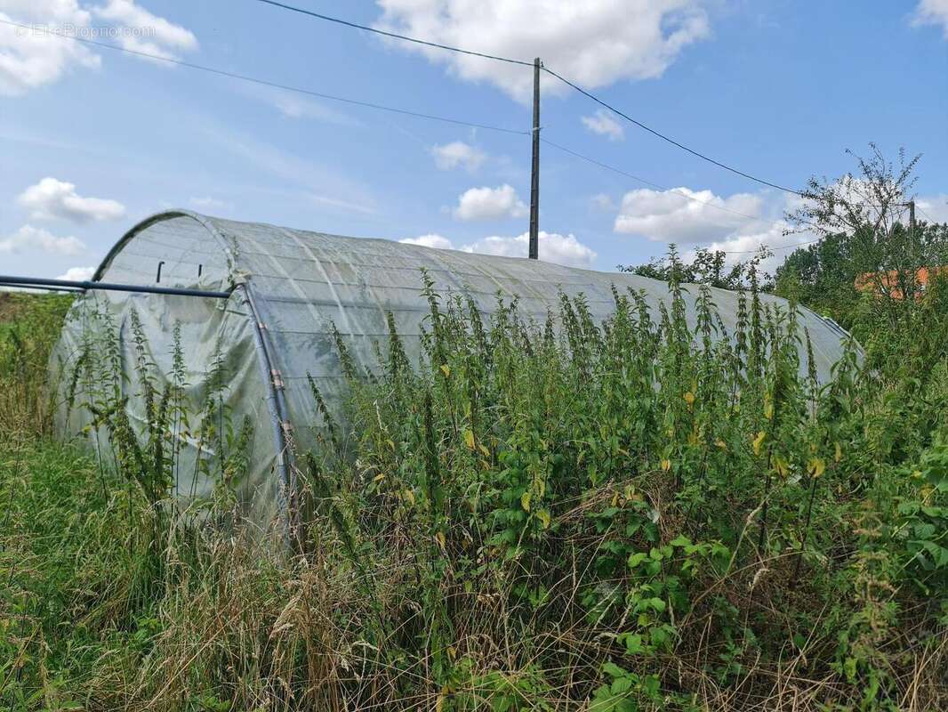 Photo 5 - Terrain à SAINT-GOBAIN