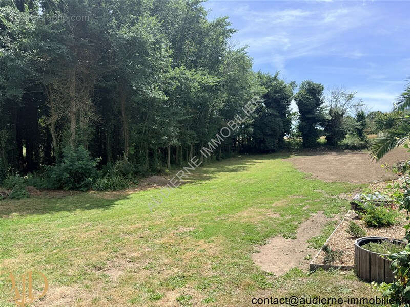 EXCEPTIONNEL : Maison récente ossature bois (DPE B) avec jardin + parcelle de bois - proche plage et commerces - photo 2